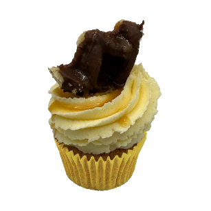 Salted Caramel Cupcake